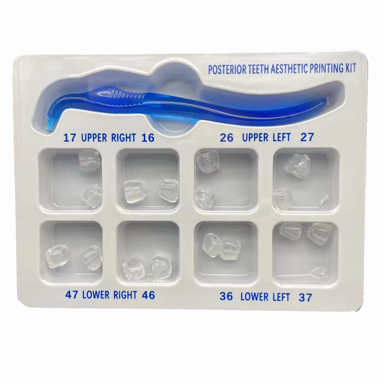 Dental Orthodontic Posterior T - 3D Printing Orthodontics avaliação e preço