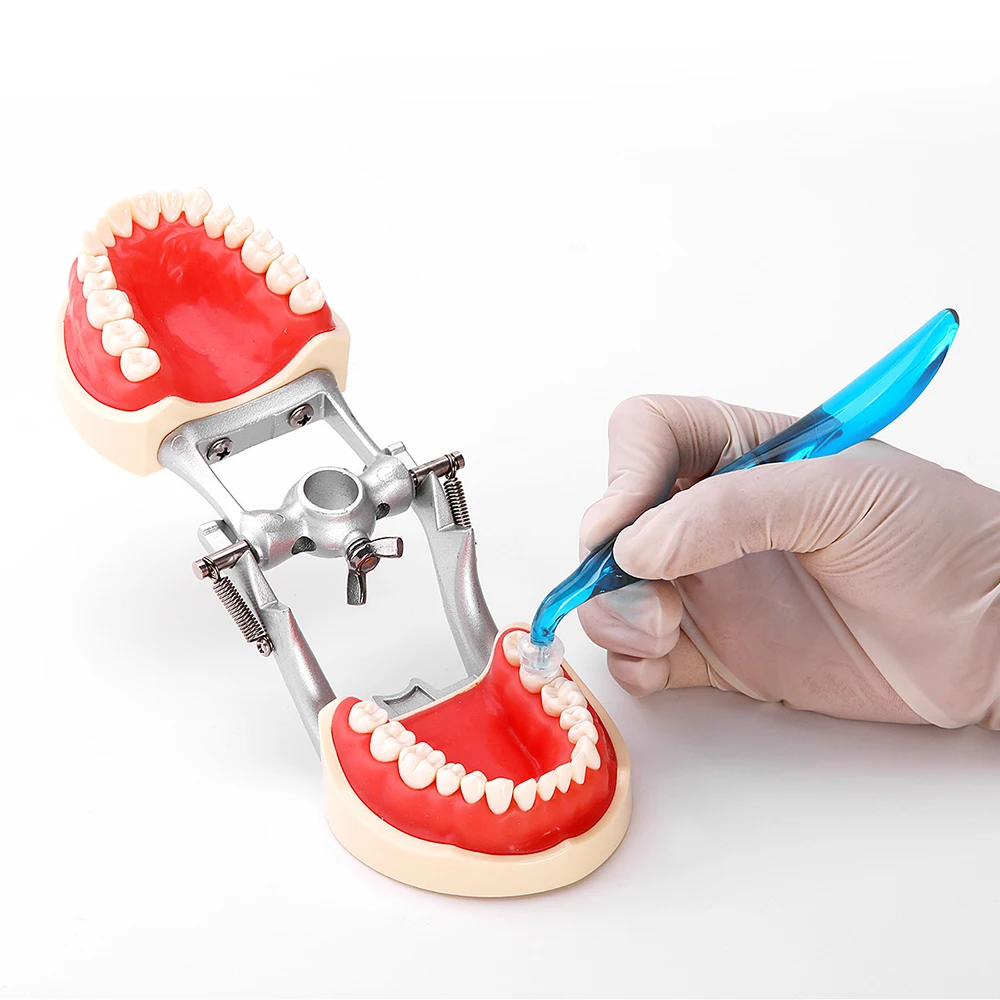 Dental Orthodontic Posterior T - 3D Printing Orthodontics avaliação e preço